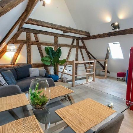 Beauty & The Beast - Old Town Cosy Apartments Colmar Luaran gambar