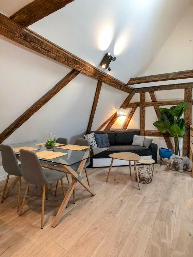 Beauty & The Beast - Old Town Cosy Apartments Colmar Luaran gambar