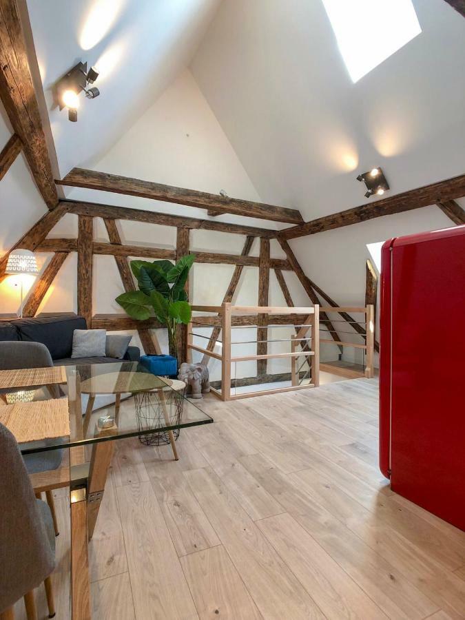 Beauty & The Beast - Old Town Cosy Apartments Colmar Luaran gambar