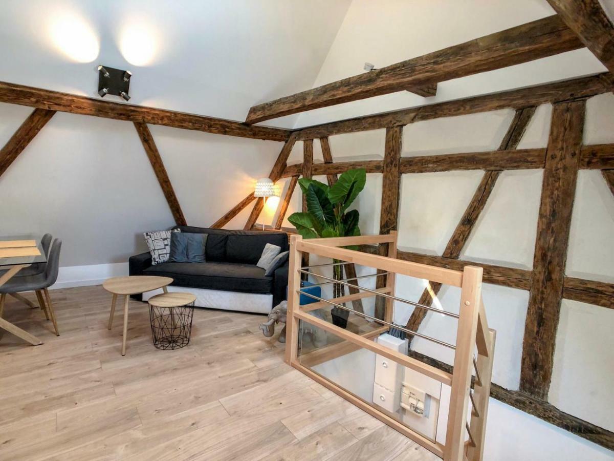 Beauty & The Beast - Old Town Cosy Apartments Colmar Luaran gambar