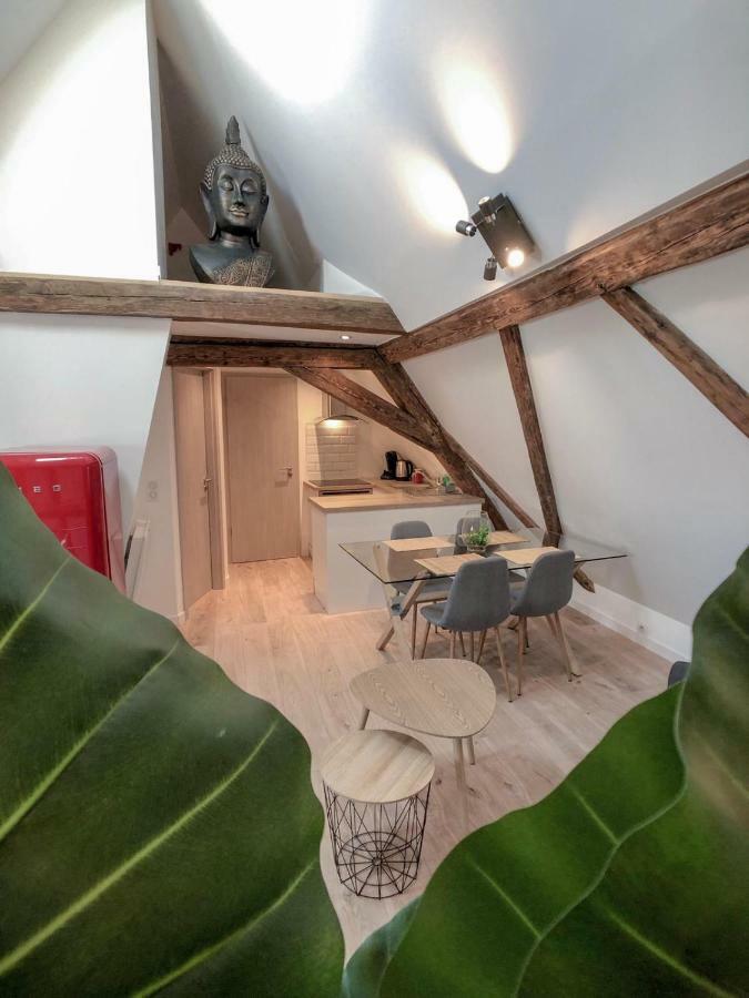 Beauty & The Beast - Old Town Cosy Apartments Colmar Luaran gambar