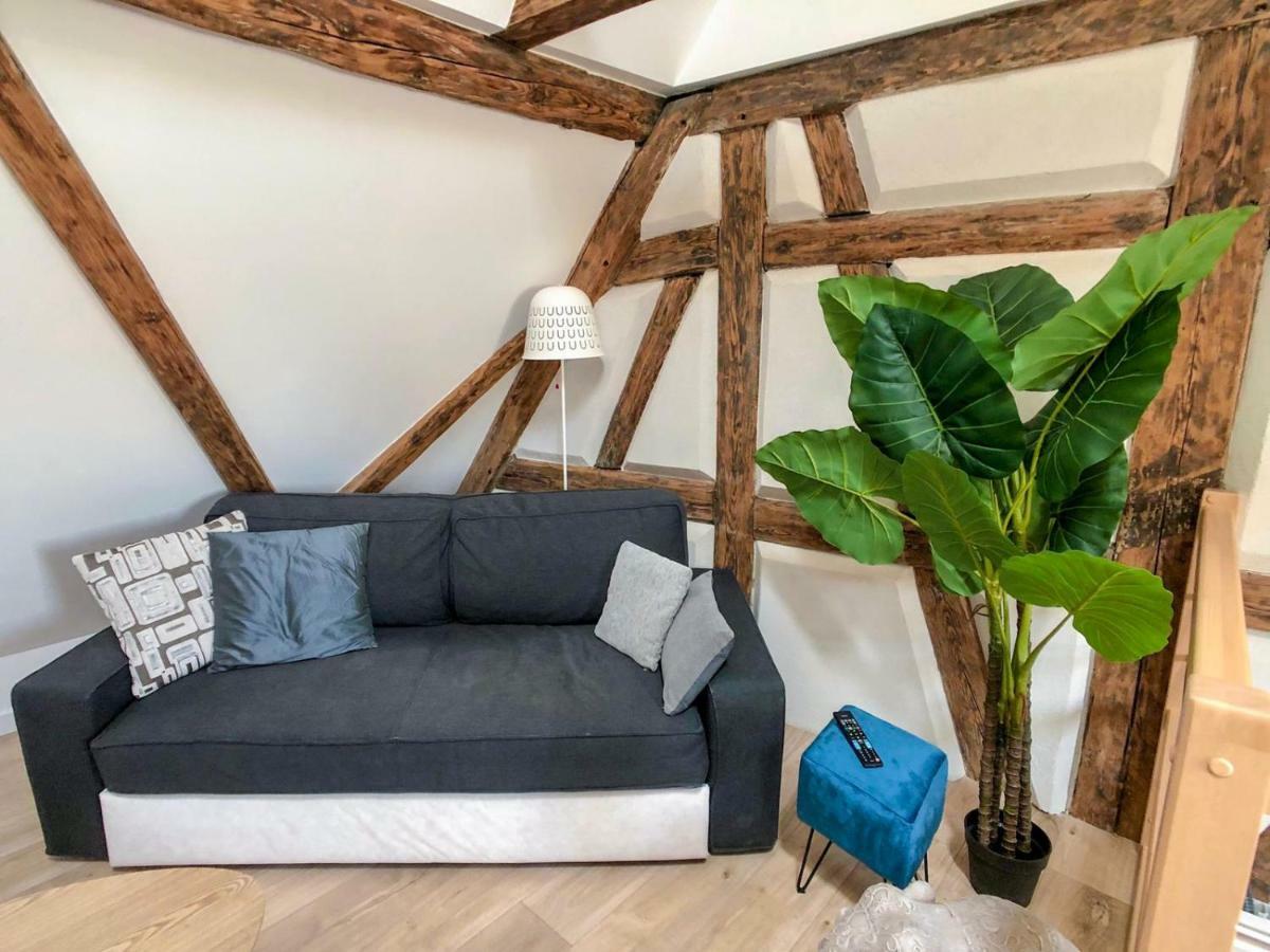 Beauty & The Beast - Old Town Cosy Apartments Colmar Luaran gambar