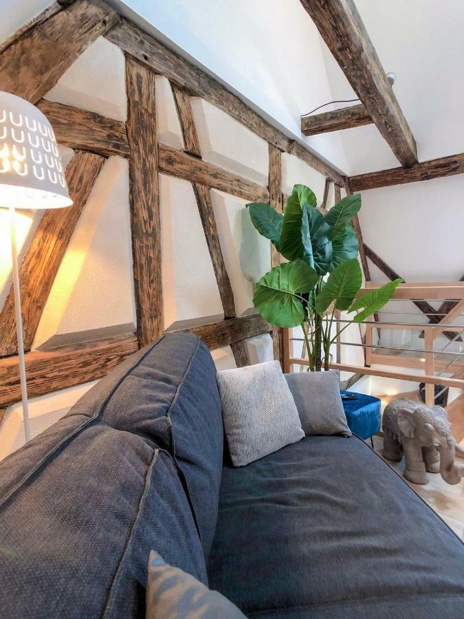 Beauty & The Beast - Old Town Cosy Apartments Colmar Luaran gambar