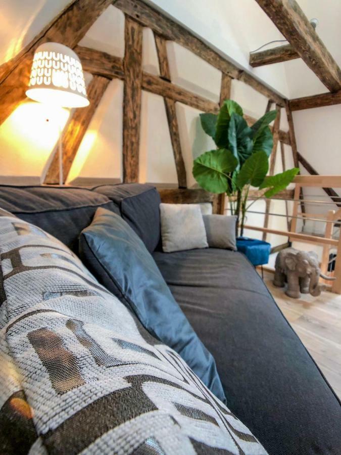 Beauty & The Beast - Old Town Cosy Apartments Colmar Luaran gambar