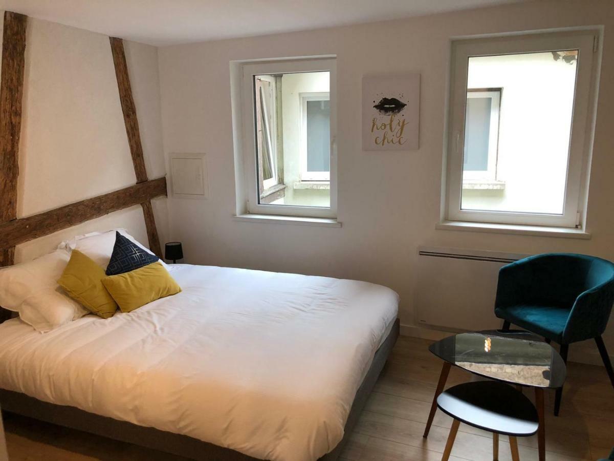 Beauty & The Beast - Old Town Cosy Apartments Colmar Bilik gambar